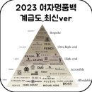 2023 여자 명품백 계급도 이미지