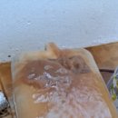 관촌명진로얄맨션 이미지