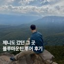 블루마운틴하우스 | 비 와도 망하지 않았던 시드니 블루마운틴 투어 후기(+ 페더데일 동물원)