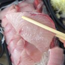 일차횟집 | 광주광역시 횟집 두툼한 대방어 포장 맛집 금바다수산