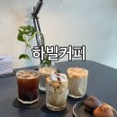 수다 | 광주 광산구 선운지구 애견동반 가능한 카페! 맛도 분위기도 좋은 '하빌커피'