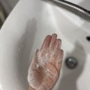 세안약품 이미지