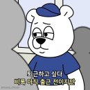 (주)모드니 이미지