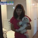 이본헤어 이미지