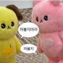 (주)폴리 이미지