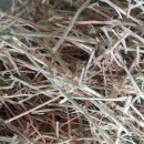 (주)키티타스 이미지