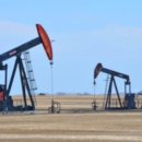 운동으로 지키는 관절 건강 이미지