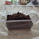 벅스패밀리 이미지