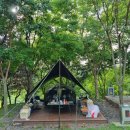 갯골안1 | [캠핑 #5] 7월 시흥갯골캠핑장 - 퉁퉁마디1 후기