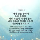 카페 바이올렛 이미지