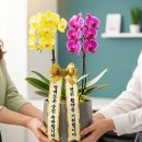 영광상사 | 센스있는 승진 축하 문구 상사 바로 쓸 수 있는 화분 메세지