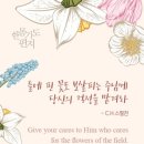 아이자야 이미지