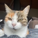 오르세미술교습소 이미지