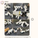 댕겨와유 이미지