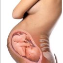 현대엘림 이미지