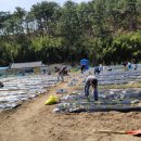 소통농장 이미지