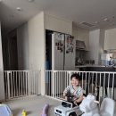뽀글이네 | [아가드 안전문 후기] 완성된 뽀글이의 안전한 공간🏡