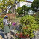 마을정원유지관리 이미지