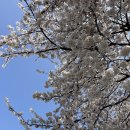 용산천변길 이미지