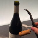 앙칼진 떡볶이 | 와 님들아