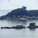 장호초교 이미지