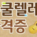 우쿨렐레 지도사 자격증 과정 강의 안내 (음악전공자 책임지도 단기완성) - 한국우쿨렐레지도사협회 이미지