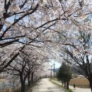 신현2리 마을회관 이미지