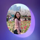 도구머리공원1-28 | 김해 연지공원 벚꽃 개화 현황, 튤립과 함께 즐기는 주말 나들이(3/28)