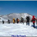 [제65차]2월21일(화) 정기산행 선자령 눈꽃산행 이미지