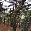 대산면(순창) 이미지
