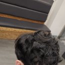 오늘 머리합시다