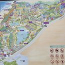 (주)나무그림엔터테인먼트 | 태안 천리포수목원 목련축제 4/11 방문후기 개화현황 입장료