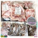 CU(진해남명점) | 진해유기동물보호소 20180908토