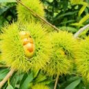 우리돈농장 이미지