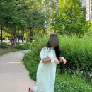 시드딜라잇 네이버블로그
