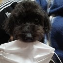 진서동물병원 이미지