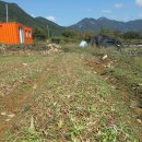 보경농장 이미지