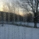 친환경 바구니짜기(심화) | 창문에 물방울이 송골송골? 겨울철 결로 방지와 곰팡이 예방 꿀팁