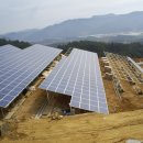 산청쏠라 이미지