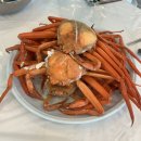 대광 | 울진 후포맛집 "후포리대게 대광수산" 솔직후기, 홍게를 마구 먹을 수 있어요