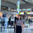 올림피아 | 20인치 기내용 캐리어 추천 올림피아캐리어 로튼캐리어 실사용 후기