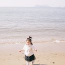 반도스파인 네이버블로그