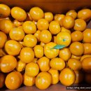 월광농장 이미지