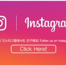 도그스토리 이미지