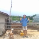 금란한우농장 이미지