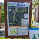 원주굽이길 16코스 매지순환둘레길 이미지