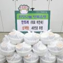 안트레