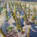 한주농장 이미지