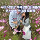 코스모스편의점