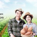 다연투어